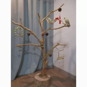 앵무새 횃대 나무 금화조 자연목 새집 사다리 나무 스탠드