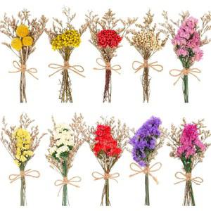 10 팩 Forget Me Not Dry Flower 꽃다발 자연 건조 꽃, 줄기 미니 엠보싱 꽃 꽃병, 공예품, 테이블 중앙 조각, DIY, 사진 소품, 결혼식, 홈 데코용