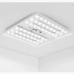 LED 모듈램프25W (2개 1세트) 파파 방등 전등 조명 형LED거실등 사각 교체 교체용 방조명 등기구 기구