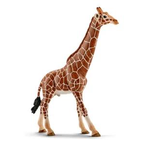 (선물완구) 슐라이히 수컷 기린 SL14749 Giraffe male 피규어