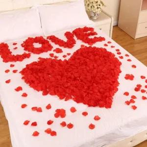 장미 1000매 컨페티 컴페티 플라워샤워 꽃가루 촬영 꽃잎 종이 프로포즈 웨딩 프리미엄 결혼식 추천 조화