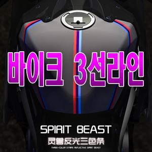 피트인 스피릿비스트 데칼 스티커 반사 엠블럼 라인 스티커 오토바이 BMW