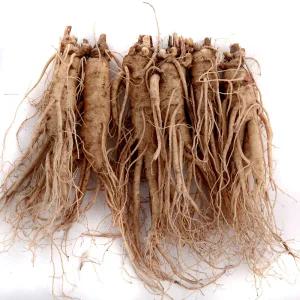 인삼수삼 인삼주용 원수삼 왕대 5~6뿌리내외 750g