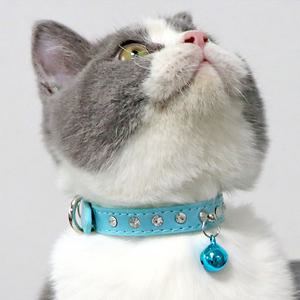 새끼 강아지목줄 고양이목걸이 소형견 리드줄 방울