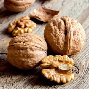 [충북농원] 신령 호두나무 묘목 - 분묘