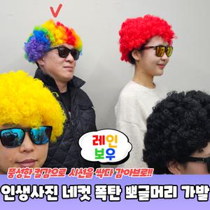 인생네컷 뽀글이 폭탄머리 웃긴 가발 레인보우