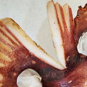 포항 구룡포 파지 반건조 오징어 6-14마리 내외 1kg