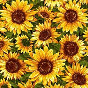 명화 그리기 해바라기 홈데코 캔버스 (WFGWS5O)