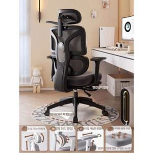 인체공학사무용의자 허리에좋은의자 휴먼스케일프리덤 1_(배송