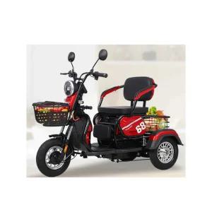 어르신 전동차 전기 노인 세발 삼륜 스쿠터 바이크 600W 모터+수명이 40마일+리튬 배터리