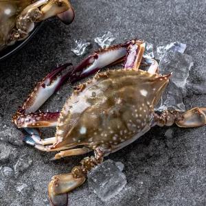 신진도 앞바다 빙장꽃게 3kg (암수 랜덤 9~15미)