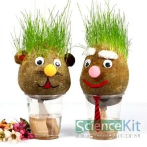 잔디인형 키우기 1인세트 과학수업 키트 실험교구 영재 식물