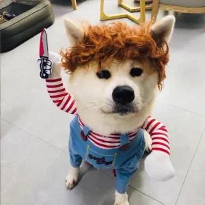 강아지 처키옷 할로윈 고양이 옷 코스튬 파티  XL