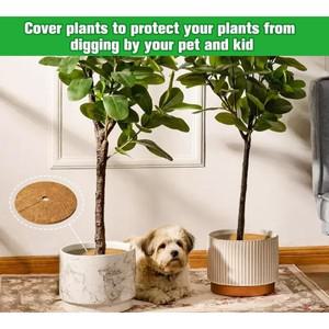 1개  섬유 나무 덮개  매트 천연 껍질 보호 실내 사용