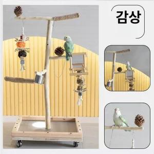 대형 앵무새 횟대 나뭇가지 나무가지 조류 새놀이터