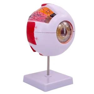 안구 사람 눈 안과 엎드려자는 구조 눈검사 감시 분리형 병원 베개