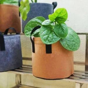 가드닝 부직포 화분 2p 세트 35x30cm 모종 분갈이 부직포백 심플한 커버 가정용 부직포화 그로우 튼튼한 블