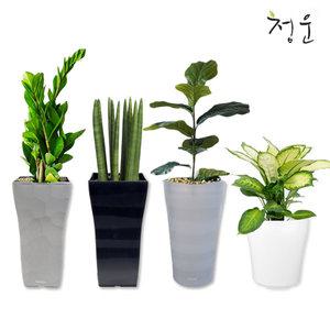 대형 인테리어거실화분 베란다 플라스틱화분 원예 식물키우기 원예용품
