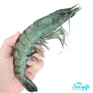 특A급 블랙타이거새우 500g 8 10 15 20 25 30미(500g) 냉동왕새우