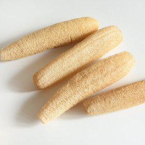 [라이프스토리]장수 통통한 천연수세미 20~25cm 5개 주방 설거지