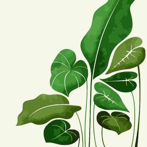 [XB8G2JNN]하모니아트 DIY 유화그리기 세트 40x50 diy