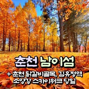 [강원] 춘천 남이섬+닭갈비골목+소양강 스카이워크/처녀상+김유정역(폐역) 당일여행 / 서울경기出