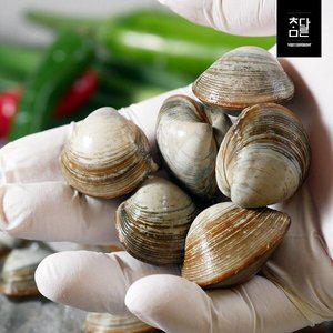 [신세계라이브쇼핑]참다른 국내산 동죽조개 3kg(210미 내외)