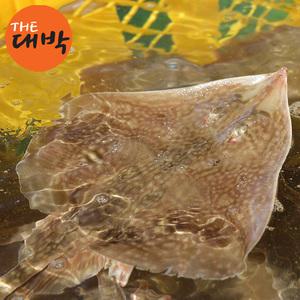 자연산 간재미 1kg 횟감용 국내산 가오리