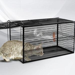 오소리 덫 너구리 뱀 철장 동물구조 철망 포획틀 멧돼지