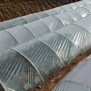 농업용 하우스 비닐 2mX10m 튼튼한 재단 텃밭 채소 농업용비닐 하우스비닐 채소재배 화초재배