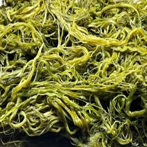 전라도 완도 청정 지역 미역줄기 부드러운 간단한반찬 햇 고급 산모 1kg 5kg 10kg