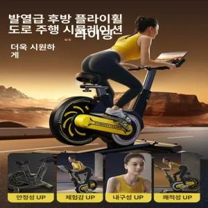 Ardez 가정용 실내 자전거 저소음 유산소 운동 헬스 사이클 다이어트 기구