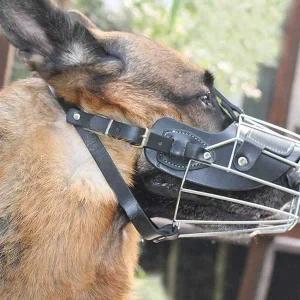 강아지 입마개 블랙 XL 대형견입마개 개짖음방지