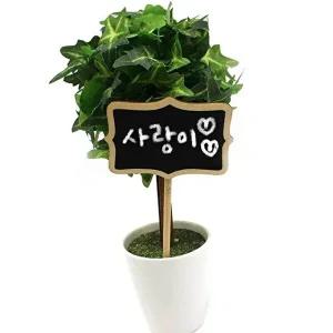 [브이와이][VCMOIS5C]원목 팻말 화분 블랙보드 미니 표식 이름표