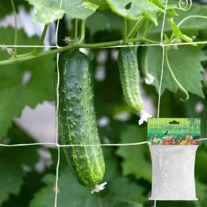 [콩심팥심]오이 호박 고추용 작물 넝쿨식물 유인 그물망