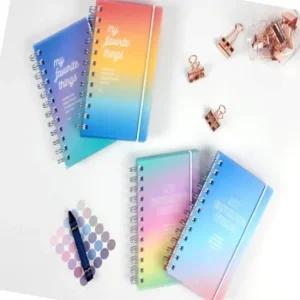 오로라 다이어리 20P 혼합 계획 수첩 일정 정리용 그라데이션 계획표