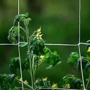 [콩심팥심]넝쿨식물 지지대 국화 원예용 오이 그물망 5m 쿨