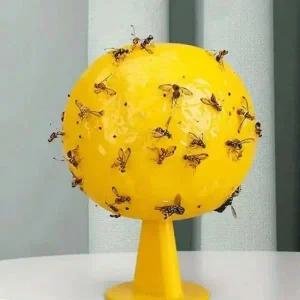 초파리 날벌레 끈끈이 트랩_23404006