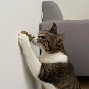 뚜또가또 캣닢 사탕 롤링 캣잎사탕 2개입