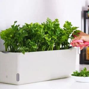 재배기 화분 자동급수 낮은 가정용 텃밭 사각 미니