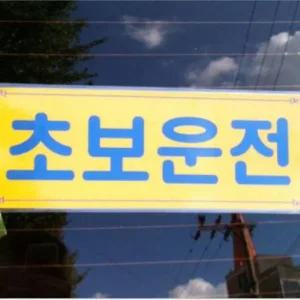 초보 초보운전스티커 차량용스티커 도로연수스