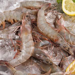 [품질보장]신안 이경철님 생물새우 1kg 35미내외