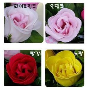 비누 꽃 한송이판매 꽃대 미포함 - 장미, 카네이션