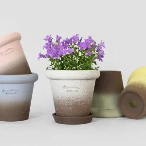 마이플랜트 로자리안 컬러 슈가팟 10호 분갈이 국산 화분 인테리어 토분