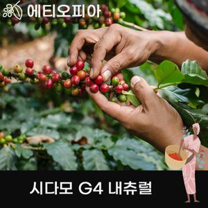커피생두 에디오피아 시다모 G4 20kg 지대포장