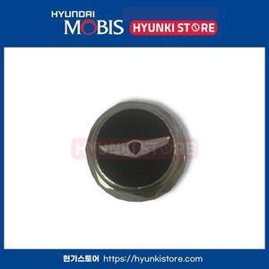 [현대모비스]제네시스 순정 앞 번호판 볼트 (86912B1000) 현대모비스부품몰