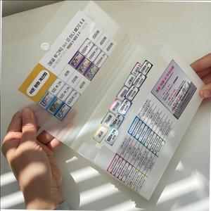 여행용지갑 돈 동지갑 여행 스티커 몽골 지갑 베트남 다낭 화폐 페소 바트 만들기 필