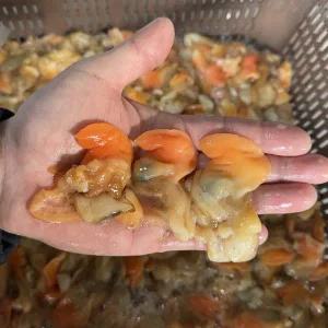 [푸드타켓]국내산 제철 손질 갈미 조개살 400g 급냉 샤브샤브 명주 조개