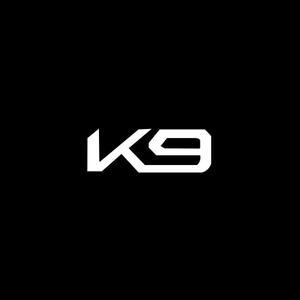 2024 더뉴K9 매립형 LED 도어라이트 스팟램프 2P세트 셀프튜닝 실내등 차량용