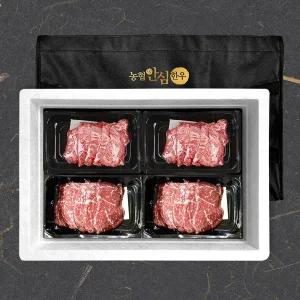 갤러리아 농협안심한우 1등급 홈마카세명품 2호 1kg